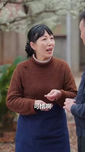 半生甘苦遇见你（60集）逆袭短剧