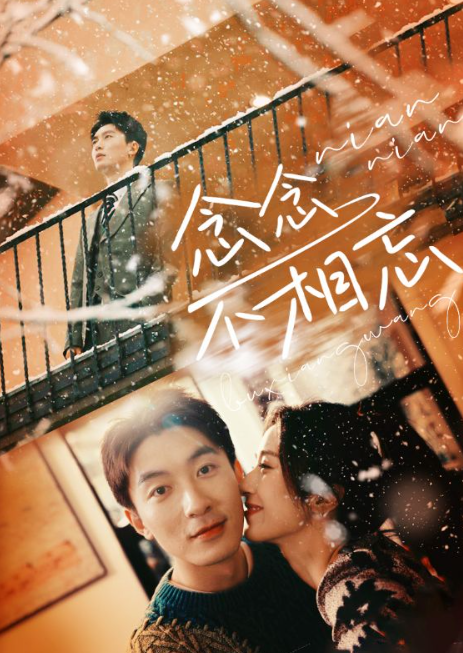 短剧《念念（念念不相忘）》1-95夸克网盘资源免费观看  第1张