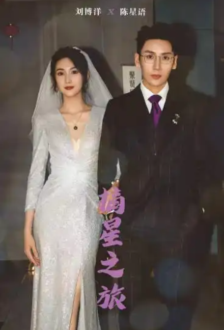 短剧《摘星之旅（88集全）》夸克网盘资源免费观看  第1张