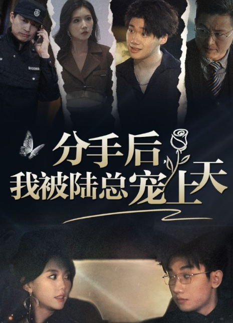 短剧《分手后，我被陆总宠上天（76集全）》夸克网盘资源免费观看  第1张