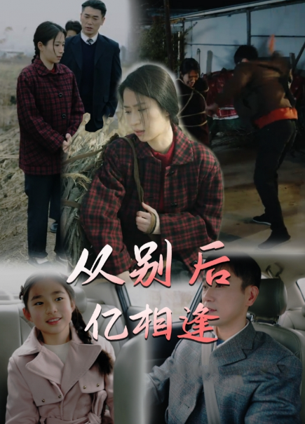 短剧《从别后，忆相逢（37集全）》夸克网盘资源免费观看  第1张