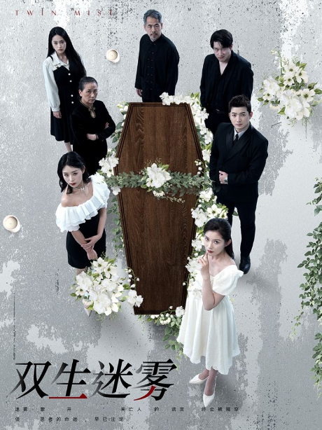 短剧《双生迷雾（80集全）》夸克网盘资源免费观看  第1张
