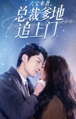 短剧《六宝来袭，总裁爹地追上门（79集全）》夸克网盘资源免费观看  第1张