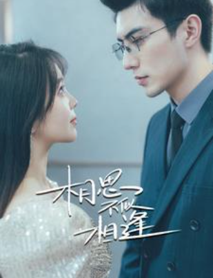 短剧《相思不似相逢(97集全）》夸克网盘资源免费观看  第1张