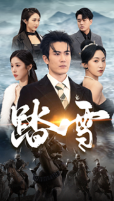 短剧《踏雪（96集全）赵慧楠》夸克网盘资源免费观看  第1张