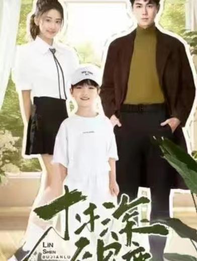 短剧《林深不见鹿》夸克网盘资源免费观看  第1张
