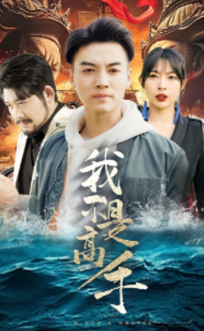 短剧《我不是高手（82集全）》夸克网盘资源免费观看  第1张