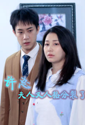 短剧《许总，夫人又人格分裂了（85集全）》夸克网盘资源免费观看  第1张