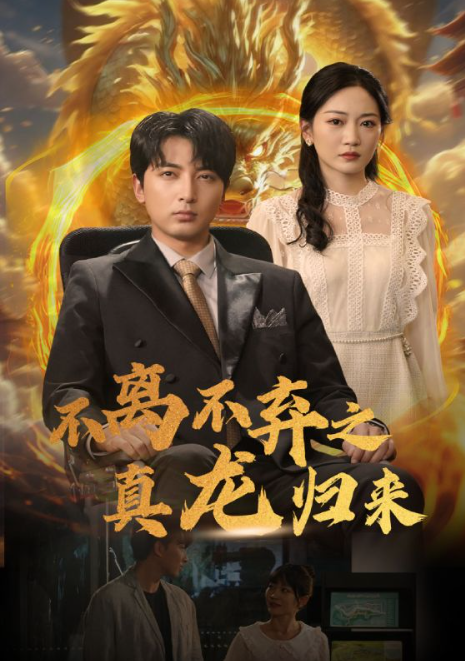 短剧《不离不弃之真龙归来（73集全）》夸克网盘资源免费观看  第1张