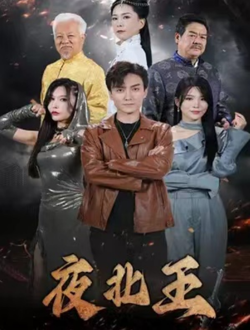 短剧《夜北王（76集全）》夸克网盘资源免费观看  第1张