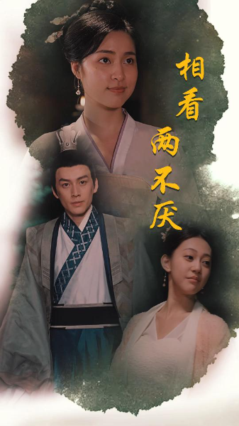短剧《相看两不厌（这个王妃不好惹）85集全》夸克网盘资源免费观看  第1张