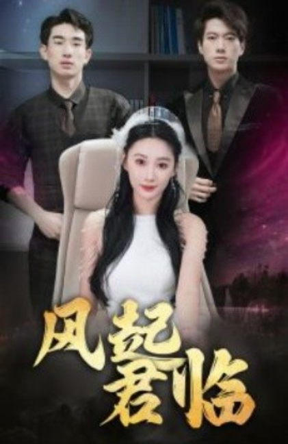 短剧《风起君临（83集全）》夸克网盘资源免费观看  第1张