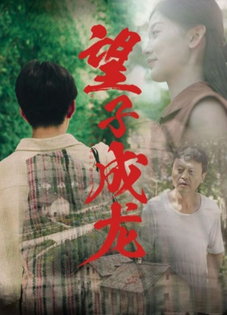短剧《望子成龙（74集全）王义海&----刘蓝鸽》夸克网盘资源免费观看  第1张