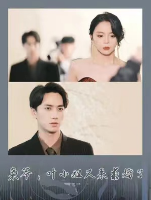 短剧《枭爷，叶小姐又来求婚了（75集全）》夸克网盘资源免费观看  第1张