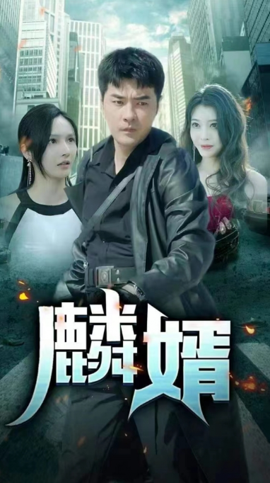 短剧《麟婿（89集全）》夸克网盘资源免费观看  第1张