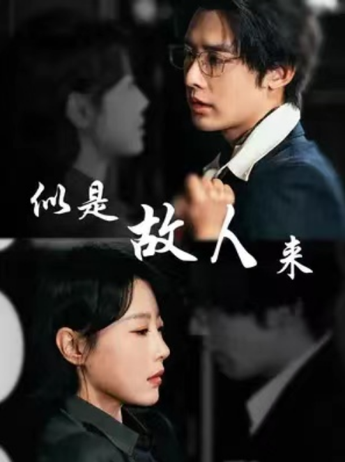 短剧《似是故人来（79集全）》夸克网盘资源免费观看  第1张
