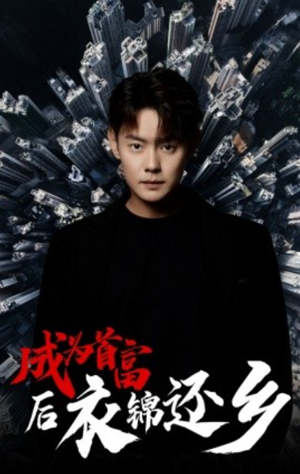 短剧《成为首富后衣锦还乡（30集全）》夸克网盘资源免费观看  第1张