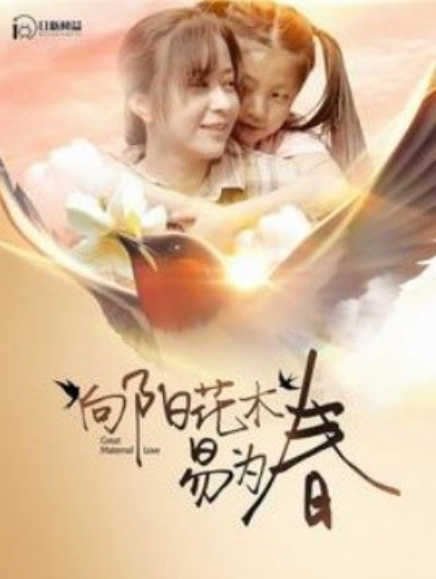 短剧《向阳花木易为春（101集全）》夸克网盘资源免费观看  第1张