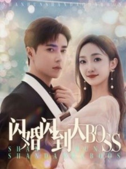 短剧《闪婚闪到大BOSS（76集全）》夸克网盘资源免费观看  第1张