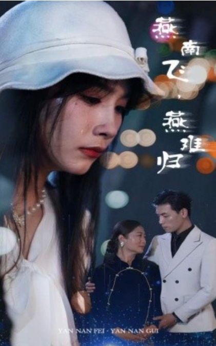 短剧《燕南飞，燕难归（31集全）》夸克网盘资源免费观看  第1张