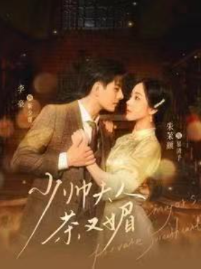 短剧《少帅夫人茶又媚（93集全）朱茉颜》夸克网盘资源免费观看  第1张