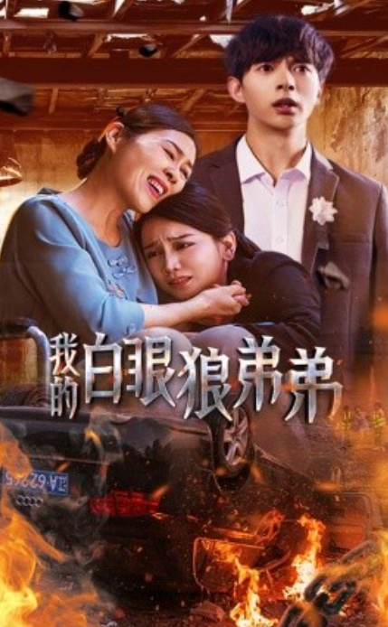 短剧《我的白眼狼弟弟（69集全）》夸克网盘资源免费观看  第1张