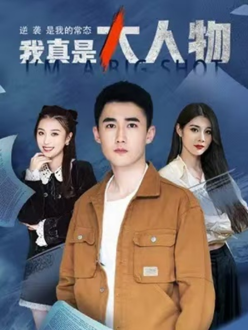 短剧《我真是大人物（80集全）》夸克网盘资源免费观看  第1张