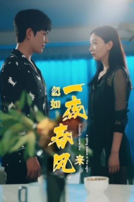 短剧《忽如一夜春风来（28集全）》夸克网盘资源免费观看  第1张
