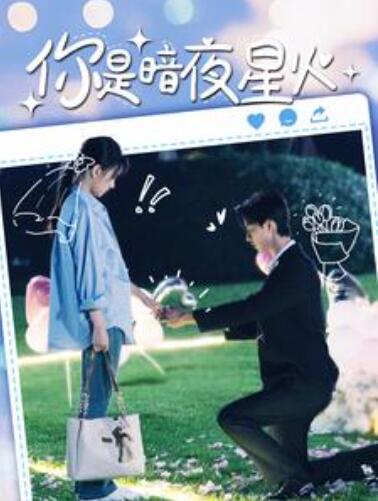 短剧《你是暗夜星火（120集全）》夸克网盘资源免费观看  第1张