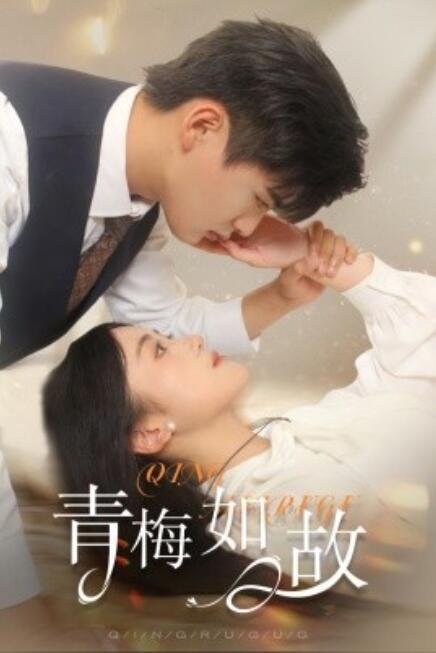 短剧《青梅如故（恰似旧人来）61集全》夸克网盘资源免费观看  第1张