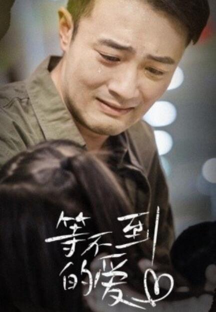 短剧《等不到的爱（40集全）》夸克网盘资源免费观看  第1张