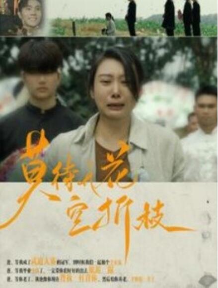短剧《莫待无花空折枝（75集全）》夸克网盘资源免费观看  第1张