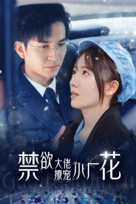 短剧《禁欲大佬撩宠小厂花（小可怜靠生子宠冠电子厂）54集全》夸克网盘资源免费观看  第1张