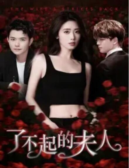 短剧《了不起的夫人（51集全）》夸克网盘资源免费观看  第1张