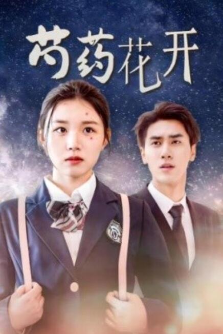 短剧《芍药花开（77集全）》夸克网盘资源免费观看  第1张
