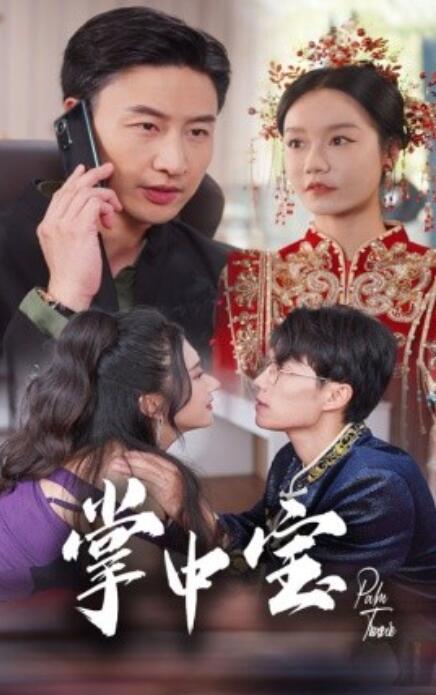 短剧《掌中宝（31集全）》夸克网盘资源免费观看  第1张