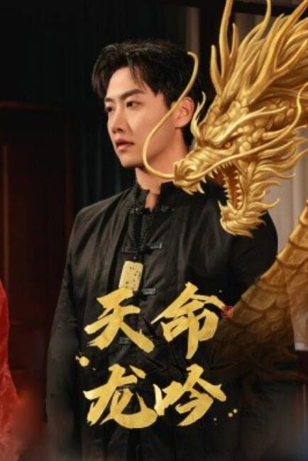 短剧《天命龙吟（48集全）》夸克网盘资源免费观看  第1张