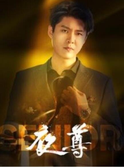 短剧《夜尊（95集全）》夸克网盘资源免费观看  第1张