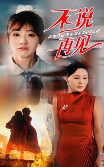 短剧《不说再见（31集全）》高清完整版高清免费观看  第1张