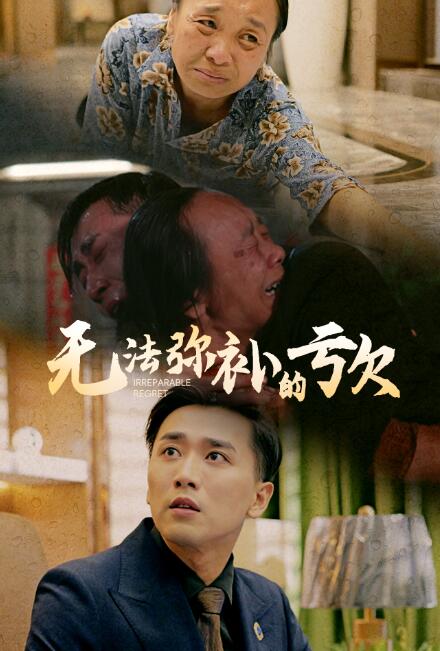 短剧《无法弥补的亏欠（59集全）》完整版高清免费观看  第1张