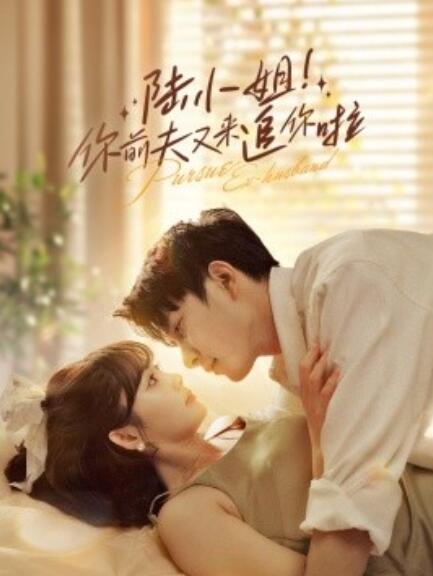 短剧《陆小姐！你前夫又来追你啦（1-67集）》夸克网盘资源免费观看  第1张
