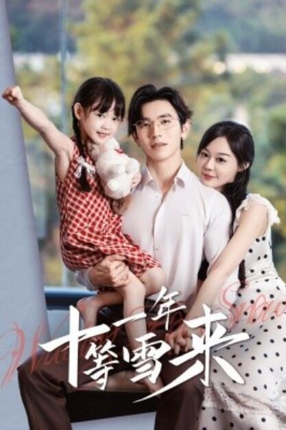 短剧《十一年等雪来（1-50集）》夸克网盘资源免费观看  第1张