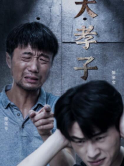 短剧《大孝子（1-60集）》夸克网盘资源免费观看  第1张