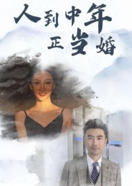 短剧《人到中年正当婚（1-81集）》夸克网盘资源免费观看  第1张