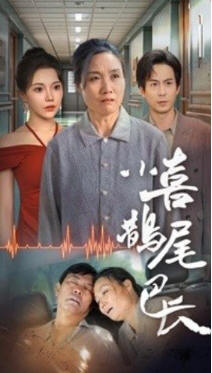 短剧《小喜鹊尾巴长（1-53集）》夸克网盘资源免费观看  第1张