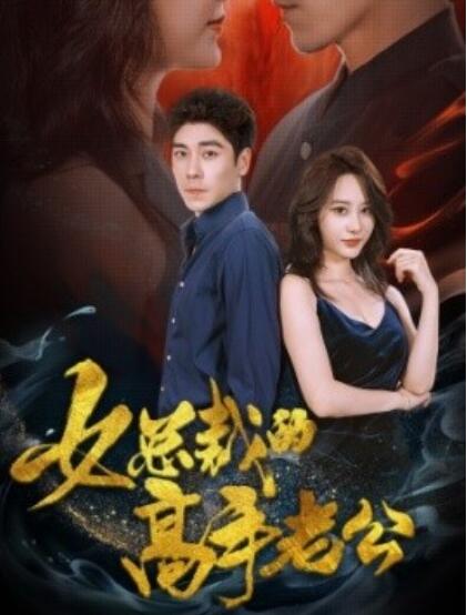 短剧《女总裁的高手老公（75集全）》完整版高清免费观看  第1张