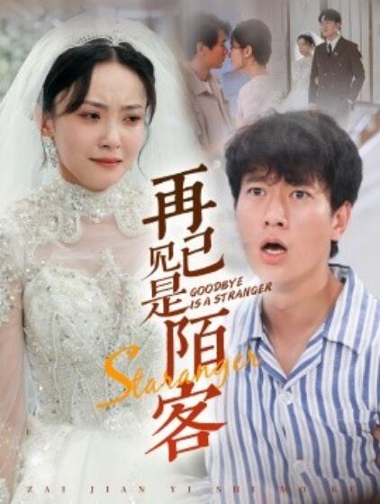 短剧《再见已是陌客（归来的星光）55集全》完整版高清免费观看  第1张