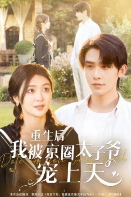 短剧《重生后我被京圈太子爷宠上天（78集全）》完整版高清免费观看  第1张