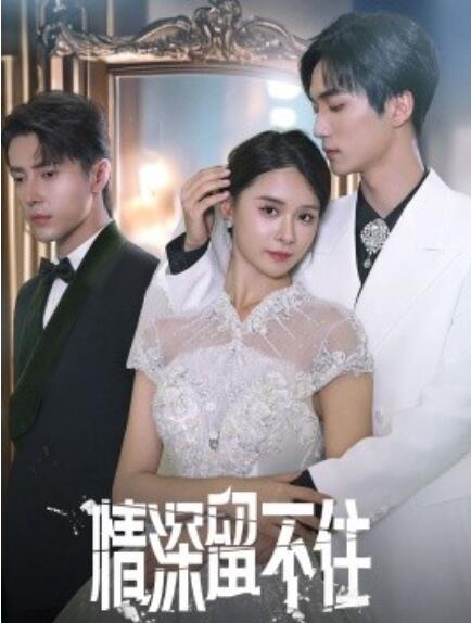 短剧《情深留不住（1-80集）》夸克网盘资源免费观看  第1张