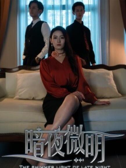 短剧《暗夜微明（1-70集）》夸克网盘资源免费观看  第1张